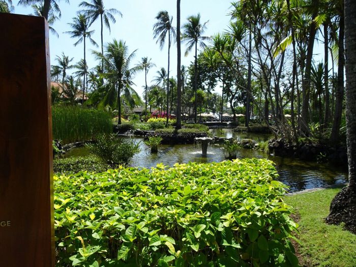 Viaggio di nozze indonesia... settembre 2017! - 2