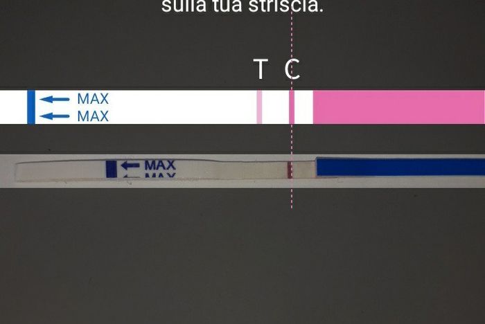 Chi non le aspetta per Novembre  2020 🍀❤️🍀❤️🍀❤️🍀❤️🍀❤️🍀❤️🍀 1