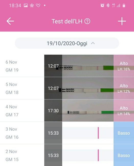 Chi non le aspetta per Novembre  2020 🍀❤️🍀❤️🍀❤️🍀❤️🍀❤️🍀❤️🍀 2