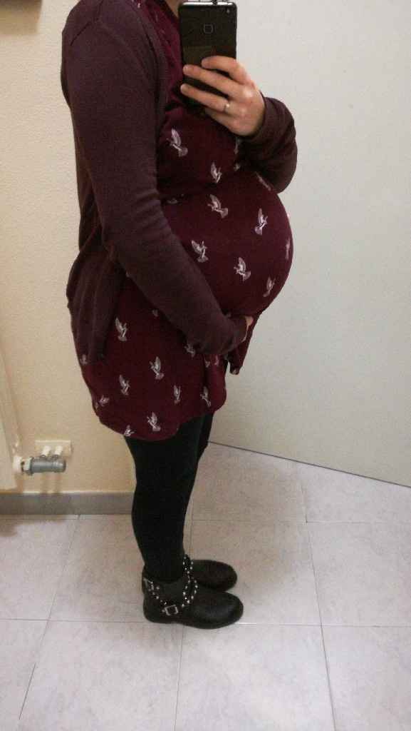 Pancioni🤰 - 1