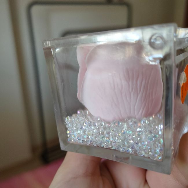 Segnaposto work in progress - 2