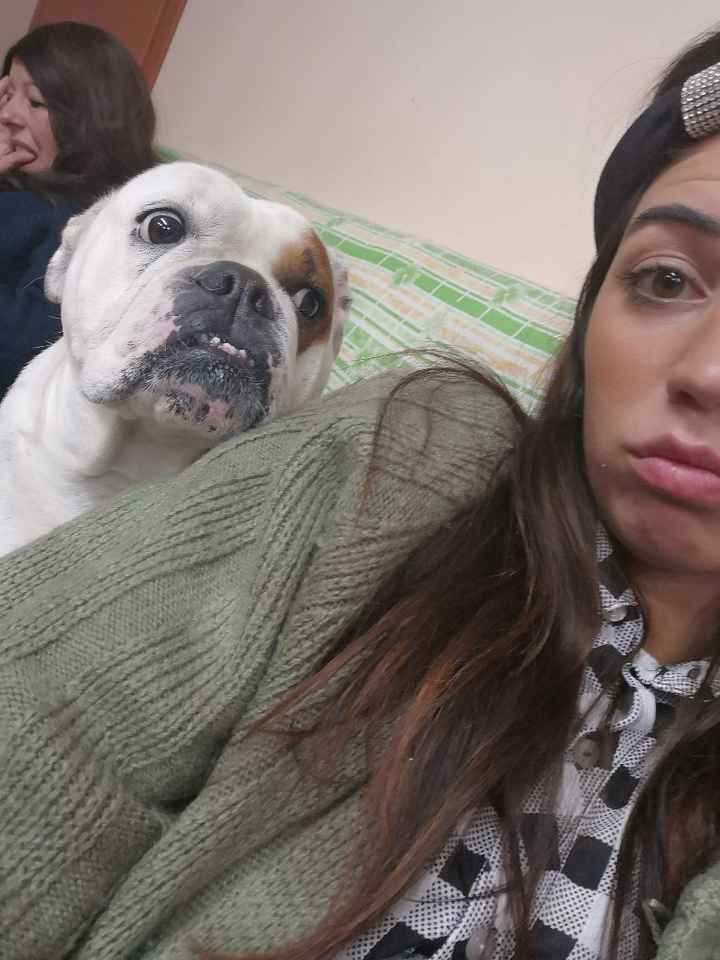 Bimbo peloso al matrimonio 😍🐶 - 2