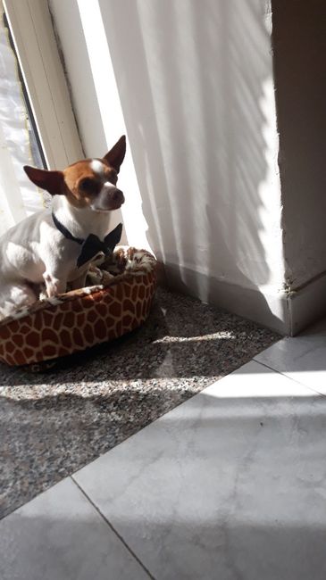 Collaboratori pelosi ❤️ - 1