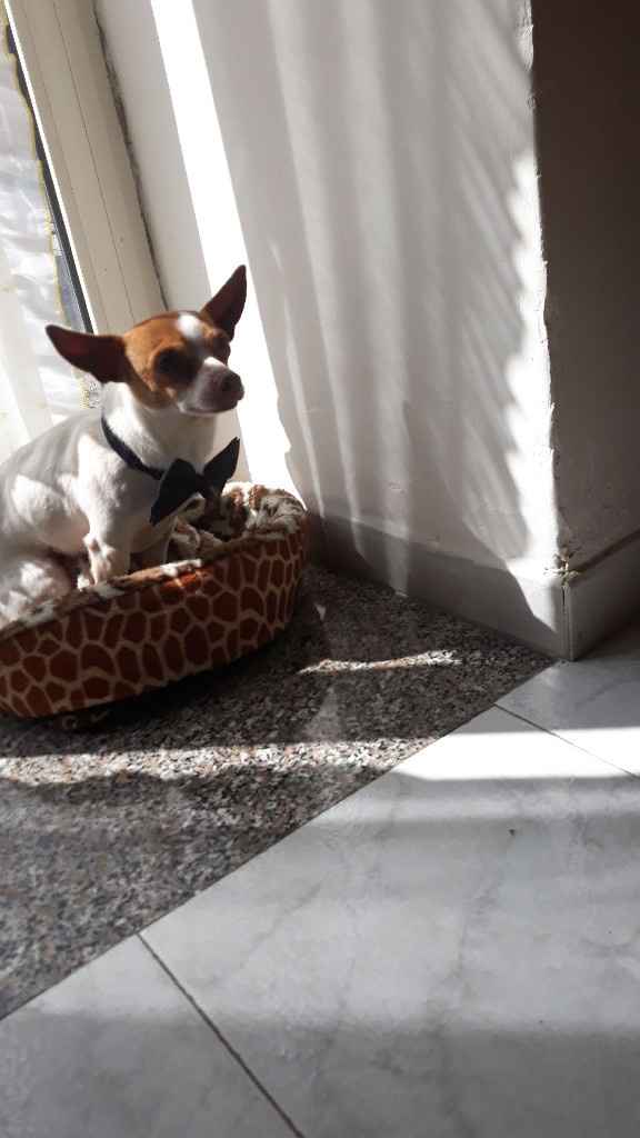 Collaboratori pelosi ❤️ - 1