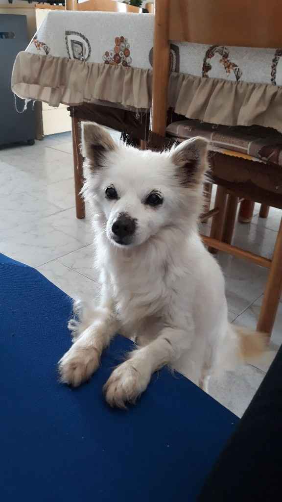 Collaboratori pelosi ❤️ - 2