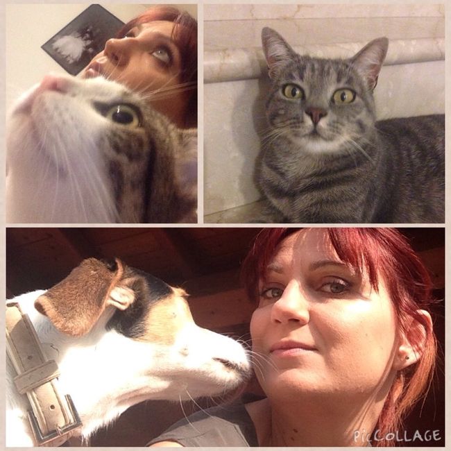 I nostri amici animali.. - 1