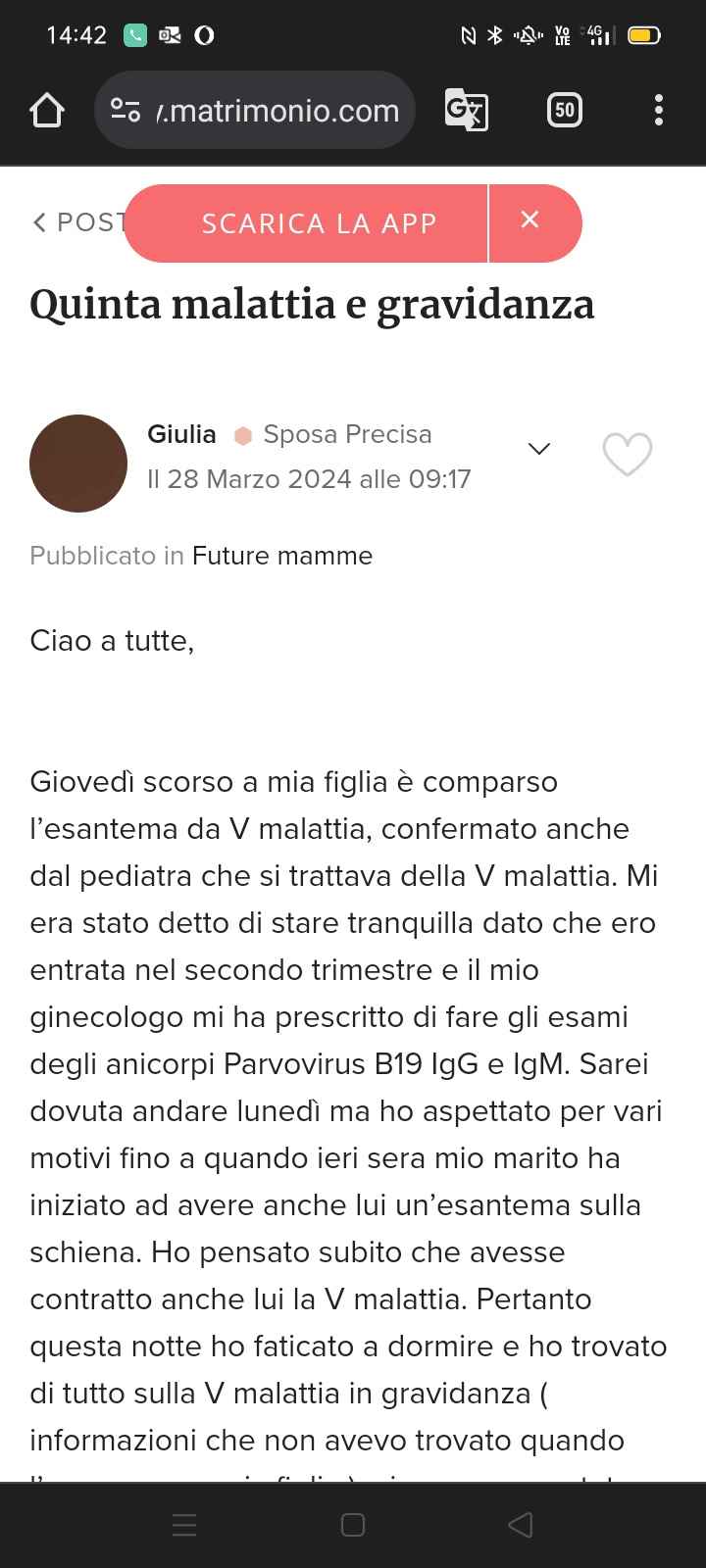 quinta malattia 6' settimana di gravidanza - 1