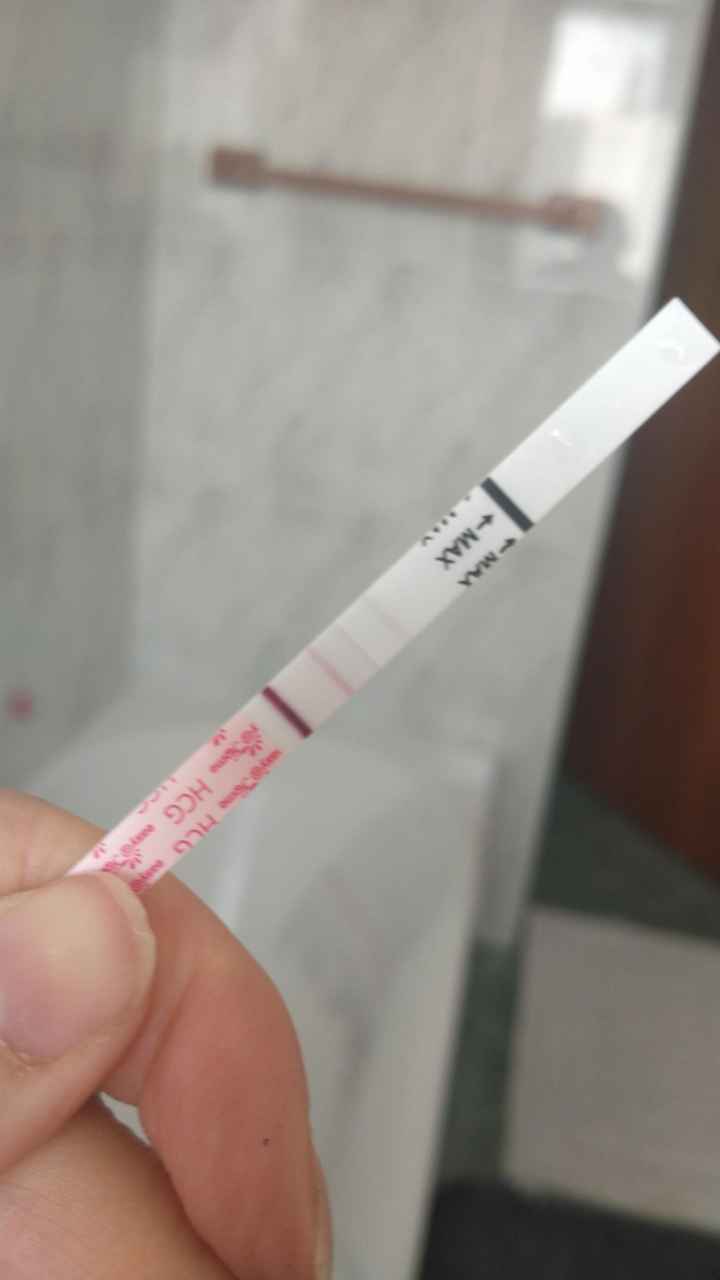 Per chi non le aspetta ottobre, novembre e dicembre 2024🍀🐞 - 1