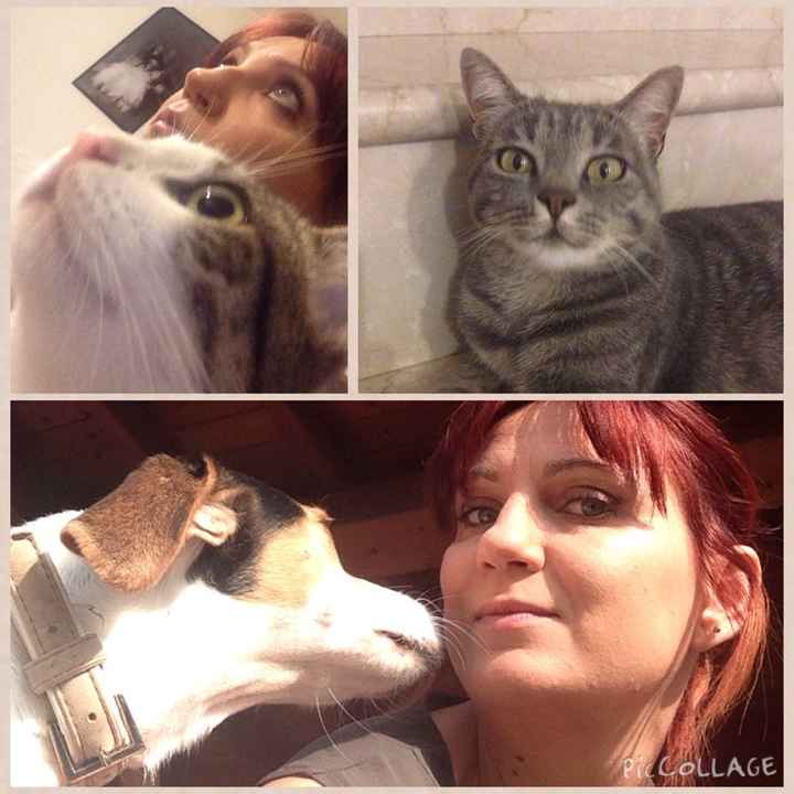 I nostri amici animali.. - 1