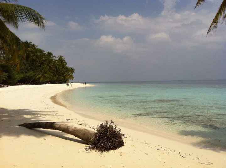 Cercasi foto maldive e seychelles - 5