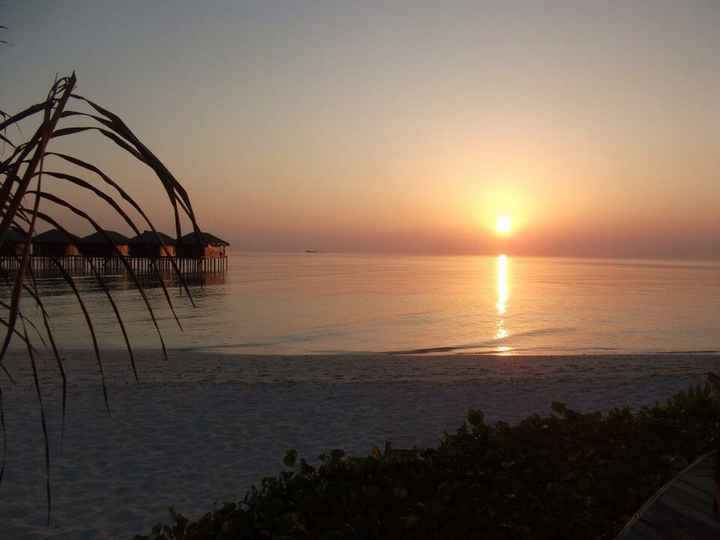 Cercasi foto maldive e seychelles - 6