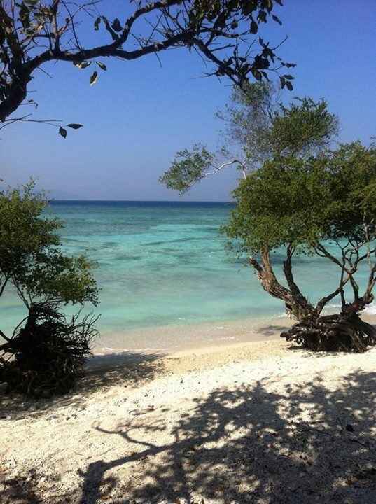 Gili trawagan - 1