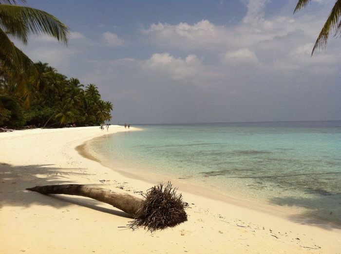 Cercasi foto maldive e seychelles - 5