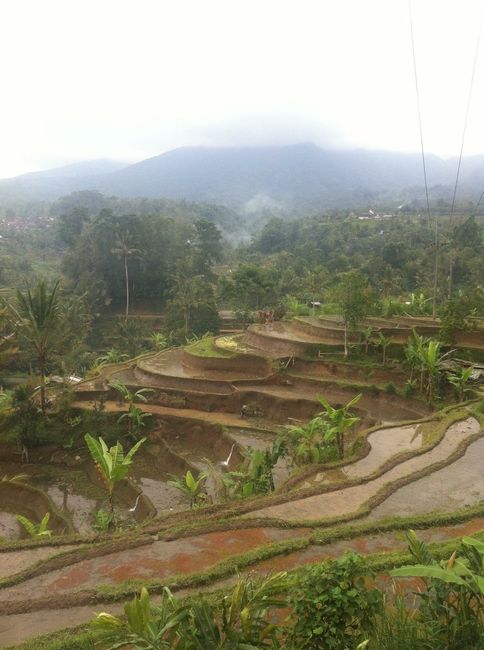 Viaggio indonesia - consigli - 2