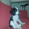 Martina