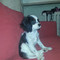 Martina