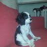 Martina