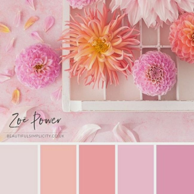 Palette matrimonio 5