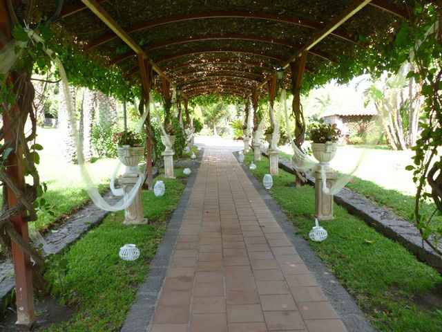 Esattamente un anno fa... amore alla prima visita ! ❤️ - 4