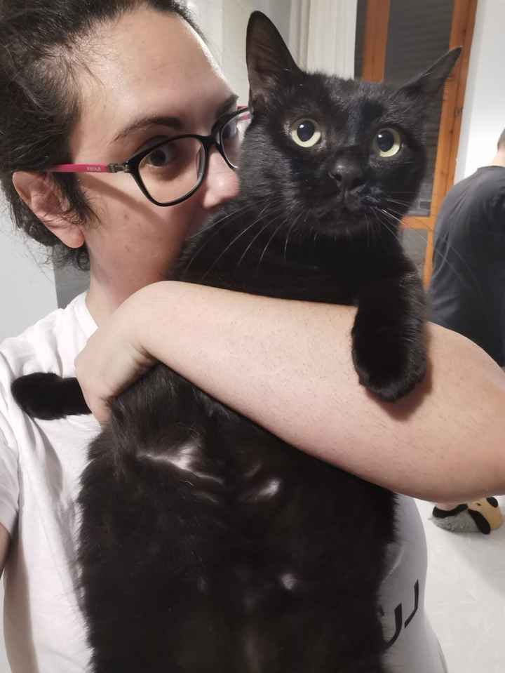 Piccolo giochino: postiamo i nostri baci con i nostri amici a 4 zampe - 1