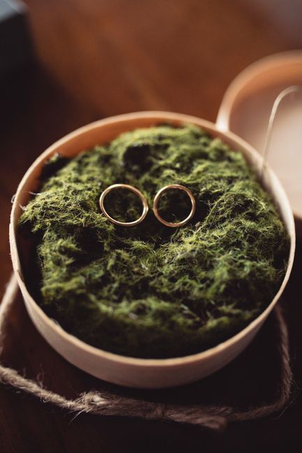 Cuscino o cosa volete voi portafedi! - 1