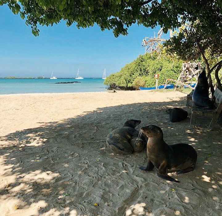 Luna di miele tra Perù e Galapagos. Un sogno! - 9