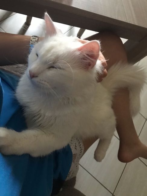 Future mamme novembre 2021 - 2