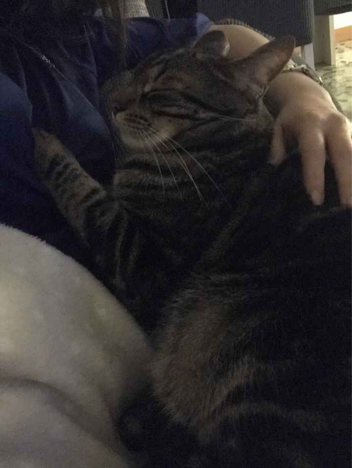 Future mamme novembre 2021 - 1