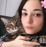 Elisa