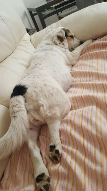 Non c entra niente niente con il matrim. ma....... - 1