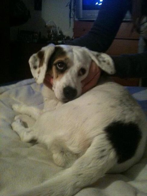 Non c entra niente niente con il matrim. ma....... - 2