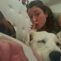 Cuccioli di casa... - 1