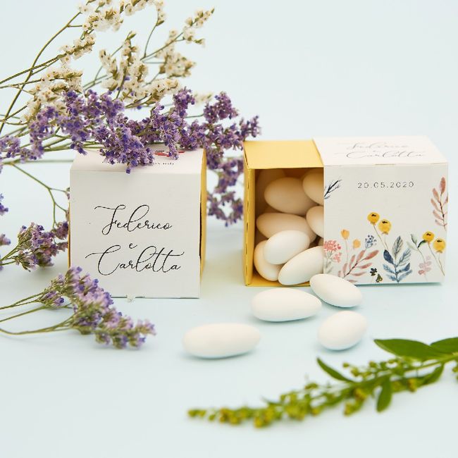 Scatoline non invitati 1