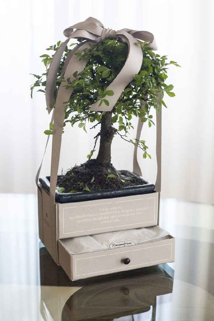 Matrimonio tema Giappone - 4