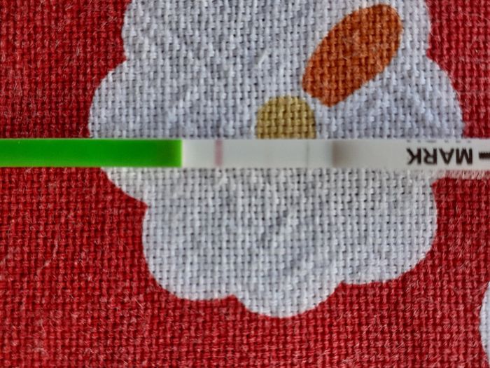 Chi non le aspetta per novembre 2019 - 1