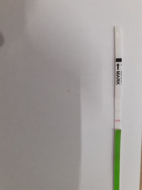 Chi non le aspetta per novembre 2019 - 1