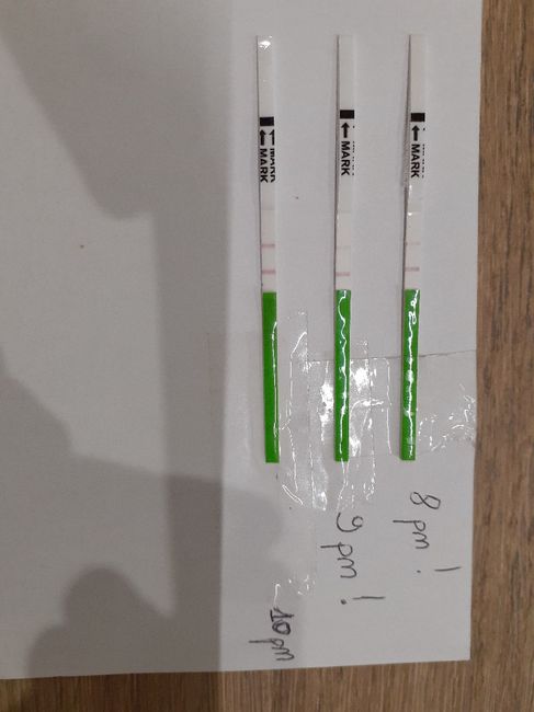 Chi non le aspetta per novembre 2019 - 1