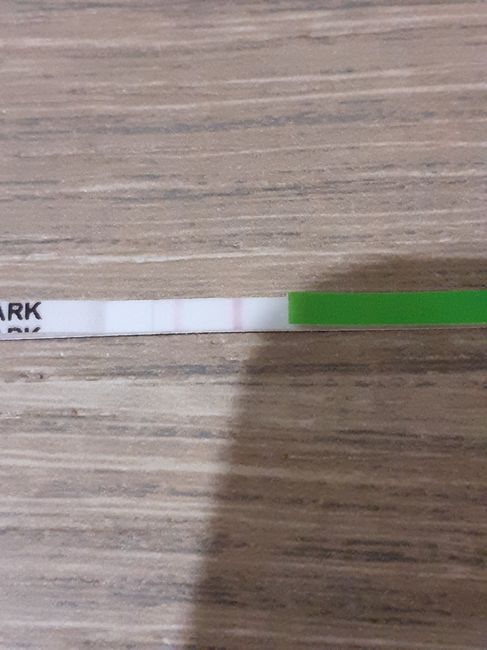 Chi non le aspetta per novembre 2019 - 1