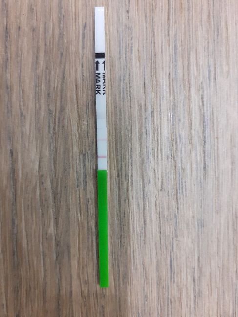 Chi non le aspetta per novembre 2019 - 1