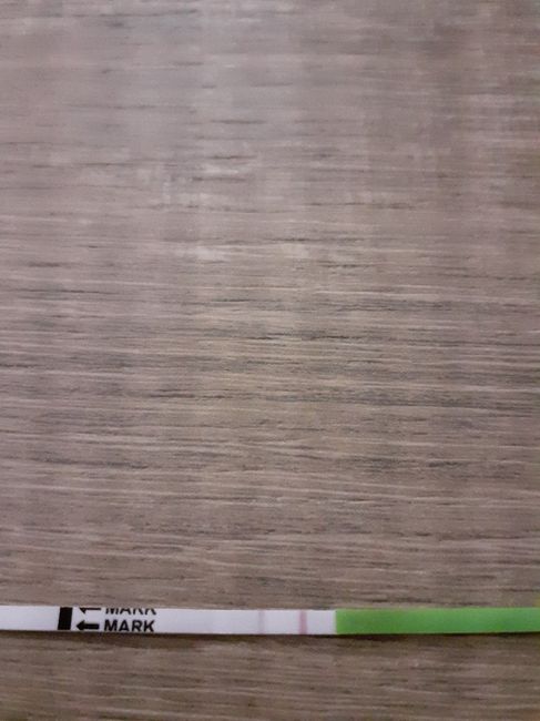 Chi non le aspetta per novembre 2019 - 1