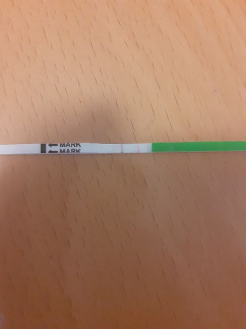 💝🎄🎉🎅🎁chi non le aspetta per dicembre 2019🎅🎁🎉🎄 - 1