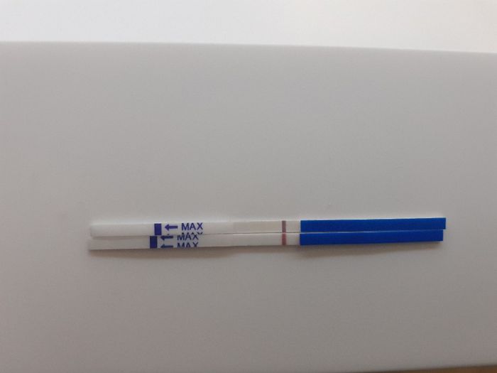 💝🎄🎉🎅🎁chi non le aspetta per dicembre 2019🎅🎁🎉🎄 - 1