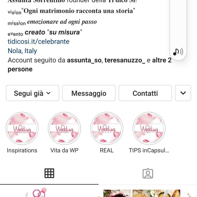 Help Wedding Planner 2