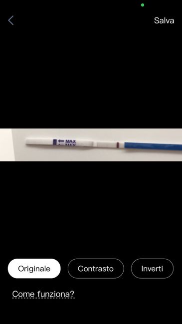 Chi non le aspetta per settembre 2021 - 3