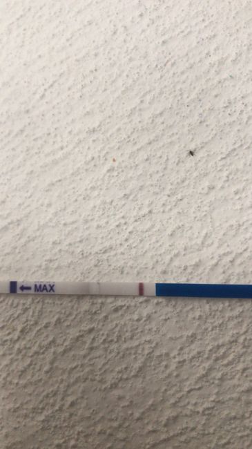 Chi non le aspetta per settembre 2021 - 2