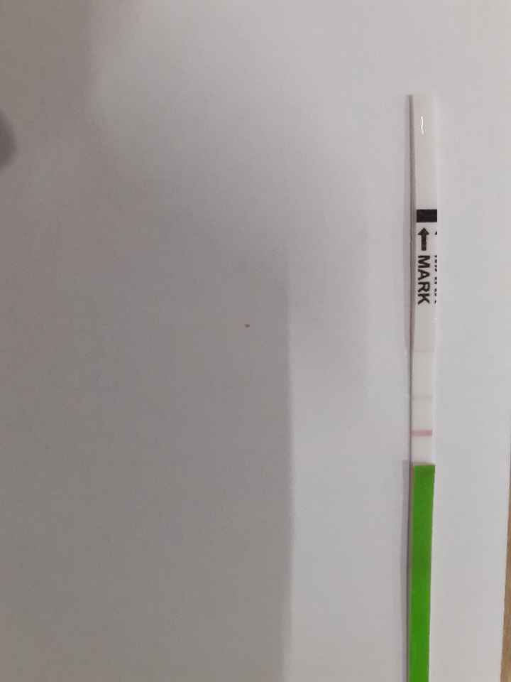 Chi non le aspetta per novembre 2019 - 1