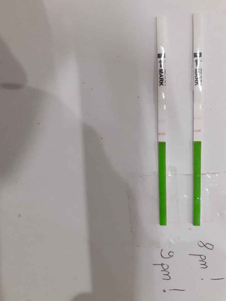 Chi non le aspetta per novembre 2019 - 1