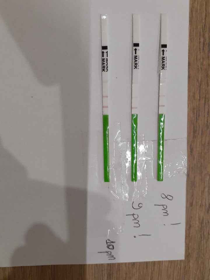 Chi non le aspetta per novembre 2019 - 1