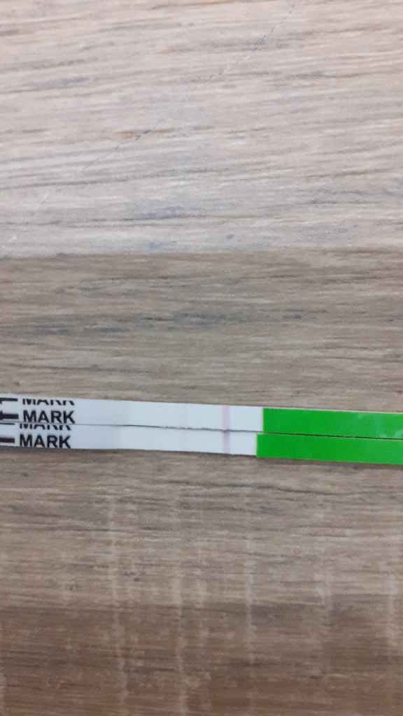 💝🎄🎉🎅🎁chi non le aspetta per dicembre 2019🎅🎁🎉🎄 - 1