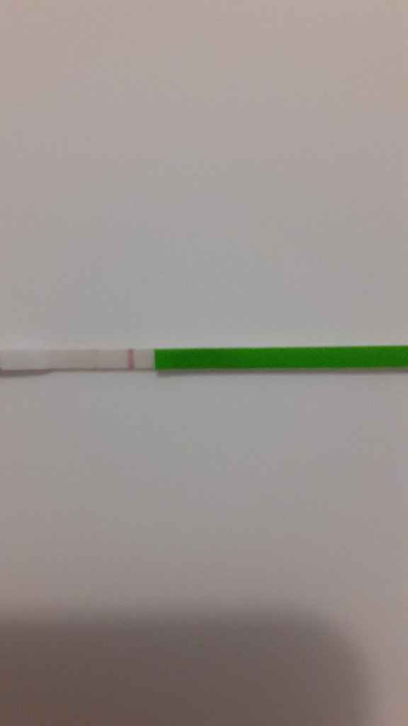 💝🎄🎉🎅🎁chi non le aspetta per dicembre 2019🎅🎁🎉🎄 - 1